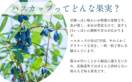 【9月以降順次発送】北海道厚真町産 冷凍ハスカップ 3種食べ比べセット 計1kg　　ハスカップ ハスカップ 特産品 特産品 R7年産 北海道 [AXAB051]