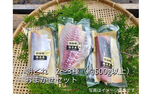 （冷蔵）伊勢志摩産 朝どれ ２～３種 約500ｇ お刺身用 おまかせセット ／ 城水産 ふるさと納税 刺身 魚 切るだけスペック 寄付 おすすめ 鯛 鰤 たい ブリ 新鮮 真空チルド 三重県 南伊勢