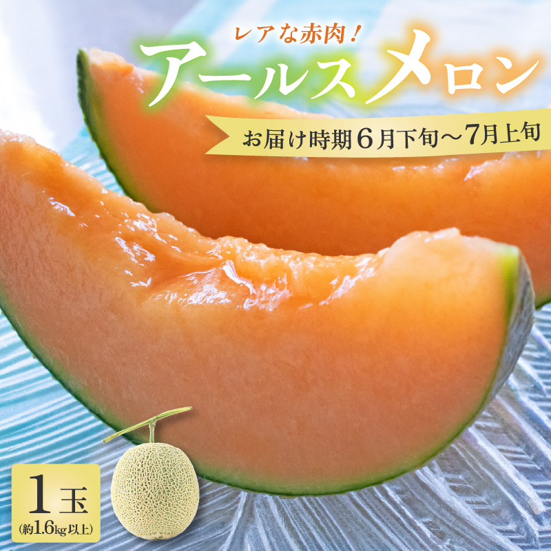 【先行予約】【赤肉】アールスメロン 1玉（約1.6kg以上）赤肉品種 高級メロン！ ／ マスクメロン 大玉 果物 フルーツ 夏 ギフト 農家直送 ※2027年6月下旬以降順次発送予定 [aw065-a003]