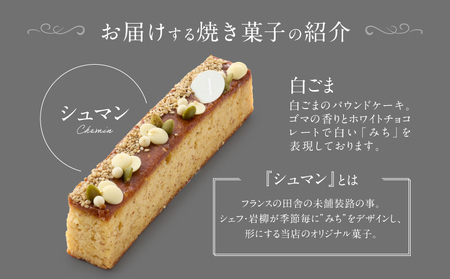 PATISSERIE ASAKO IWAYANAGI 焼菓子 詰合せB / 5種類 スイーツ 洋菓子 焼き菓子 詰め合わせ クッキー お菓子_0002-001-se4