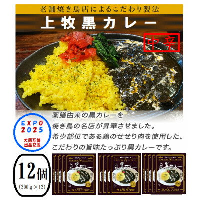 【ふるさと納税】上牧黒カレー 大阪万博出品記念 中辛バンバンセット 200g×12パック【1616107】
