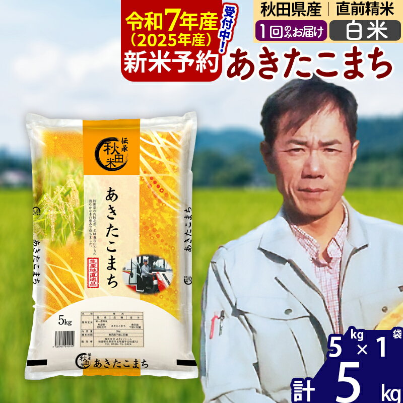【ふるさと納税】※令和7年産 新米予約※秋田県産 あきたこまち 5kg【白米】(5kg小分け袋)【1回のみお届け】2025産 お米 みそらファーム