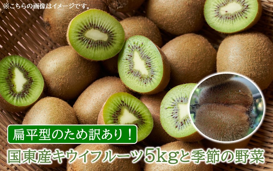 
            【先行予約】【訳あり】未追熟 国東産キウイフルーツ5kgと季節の野菜_2596R
          