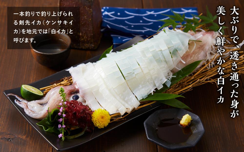 【 先行予約 2025年6月以降発送 】山陰直送 刺身用白イカ 700g（3～6杯）　※北海道、沖縄、一部離島への配送不可