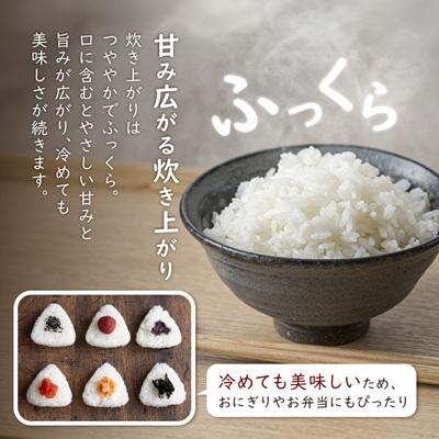 ふるさと納税 関川村 【毎月定期便】炊きたてつやつや 新潟関川村産 岩船米こしひかり精米 5kg [星山米店]全2回 |  | 03