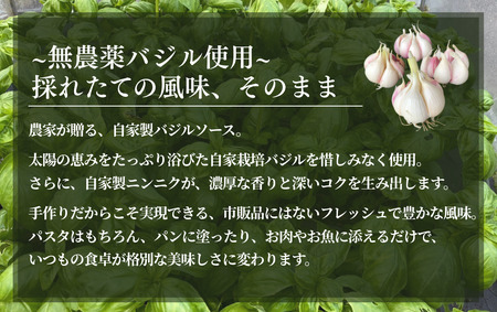 農家の手作りバジルソース 100g×3個　【 バジル 】