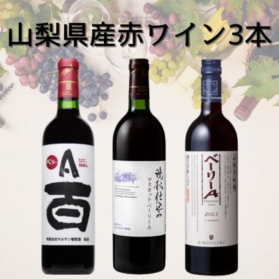 ふるさと納税 山梨県 山梨県産ワイン3本セット　042