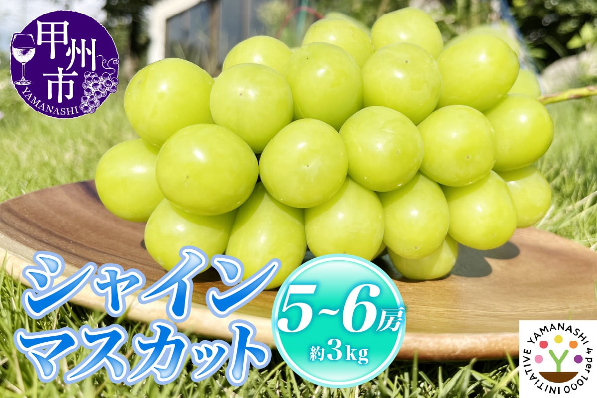 
            【新鮮朝採】KOSHUシャインマスカット 約3kg（5～6房）【2025年発送】（SFM）D-965 【シャインマスカット 葡萄 ぶどう ブドウ 令和7年発送 期間限定 山梨県産 甲州市 フルーツ 果物】
          