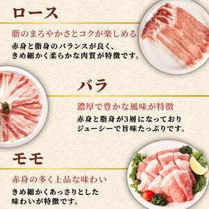 豚肉 2.5kg シャブシャブ用 豚しゃぶ【豚肉】
