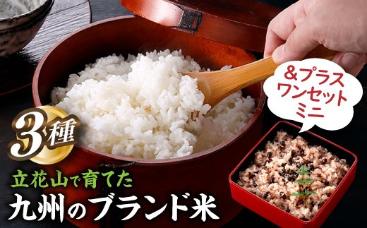 
                  AD248.【期間限定】立花山で育てた九州のブランド米・味くらべ＆プラスワンセットミニ
                