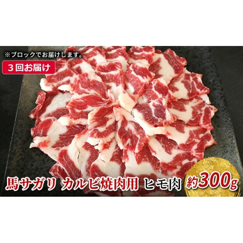 定期便 3ヶ月 馬 サガリ 300g 馬肉 肉 熊本 3回 お楽しみ ※配送不可：離島