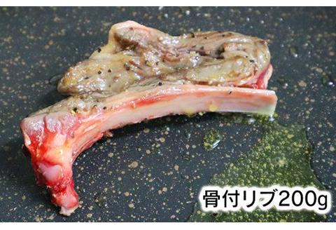 ジビエ革命～究極のジビエ 鹿肉セット N028-ZA509