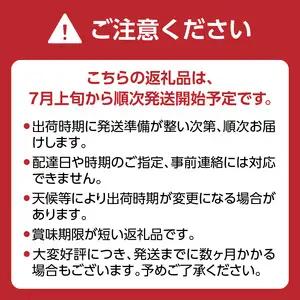 【先行受付】博多ピオーネ 1.4kg（約350g×4パック）【ＪＡふくおか八女】｜7月上旬～発送予定 ぶどうピオーネ 上品な香りのぶどうピオーネ 食べ応えがあるぶどうピオーネ 丁寧に育てたぶどうピオー