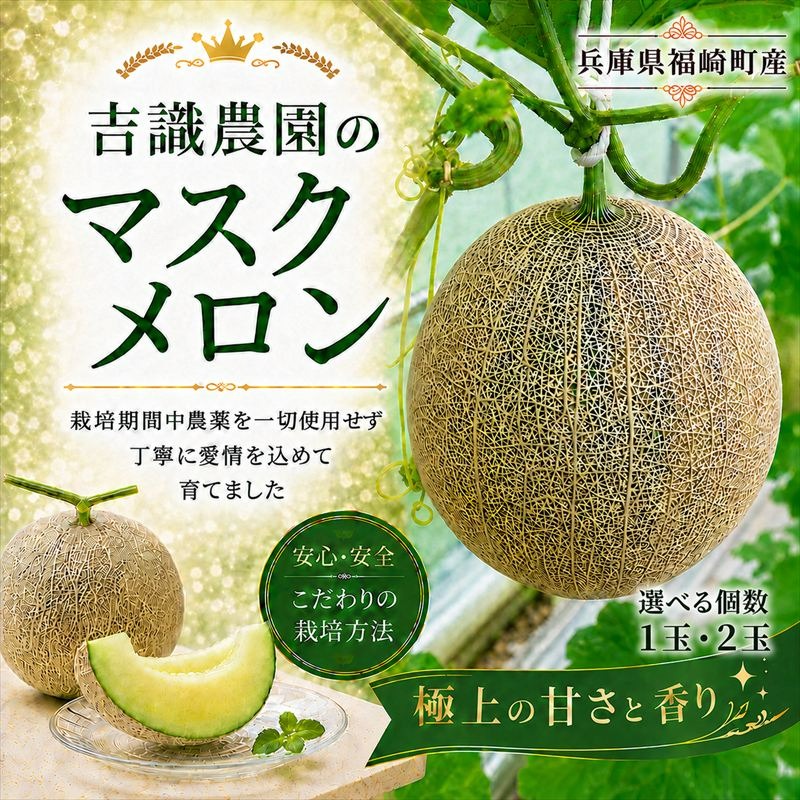 マスクメロン「パノン」 農薬不使用栽培 贈答用 化粧箱入り お届け：７月下旬～９月上旬