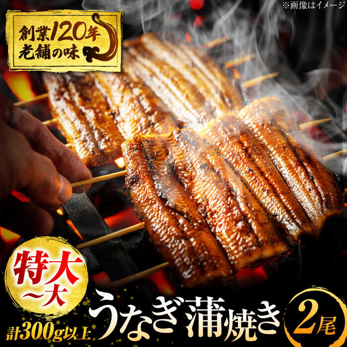 【ふるさと納税】 うなぎ 蒲焼き 2尾 鰻 ウナギ 丑の日 多治見市/澤千 [TDD004]