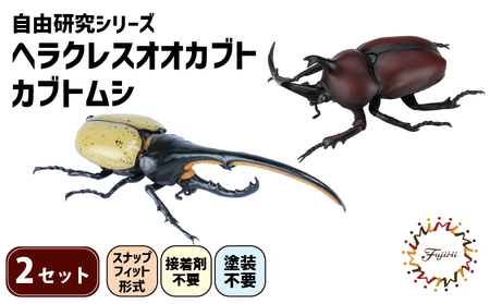 模型 昆虫 自由研究シリーズセット ヘラクレスオオカブト カブトムシ 2セット| 模型模型模型 昆虫昆虫昆虫