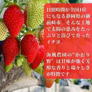 【先行予約】《限定4月発送》  朝採り同日出荷 イチゴ　御前崎産かおり野　1kg(250g×4パック)