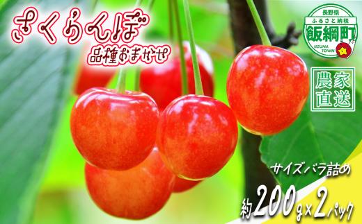 【 冷蔵便 】 さくらんぼ サイズ バラ詰め 200g × 2パック （ 品種おまかせ ） 配送先は本州限定 2025年6月中旬〜2025年6月下旬まで順次発送予定 サイズバラバラ チェリー サクランボ 長野県 飯綱町 [1952]