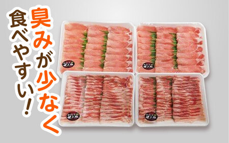 ながさき健王豚 しゃぶしゃぶ用 1.5kg  豚肉しゃぶしゃぶ[AHAA003]