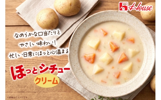 ハウス ほっとシチュー クリーム 10食セット [サワセイ 江南店 愛知県 江南市 ko23btu100053] クリームシチュー シチュー レトルト レトルト食品  ハウス食品 レンジ 湯煎 ストッ