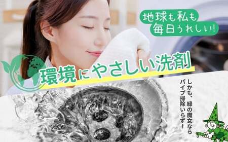 洗濯洗剤 排水口もスッキリ 緑の魔女 ランドリーパウダー 1kg×2個セット | 洗濯洗剤 洗濯洗剤 洗濯洗剤