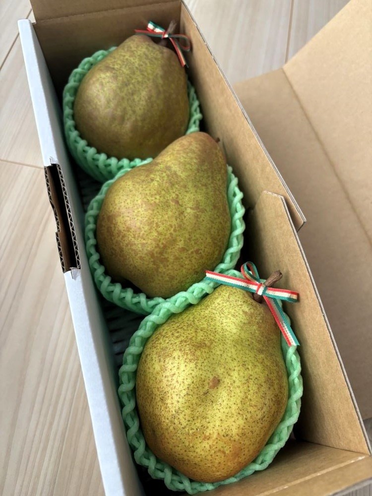 
                  西洋梨（シルバーベル）大玉３玉　贈答用　0142-2615
                