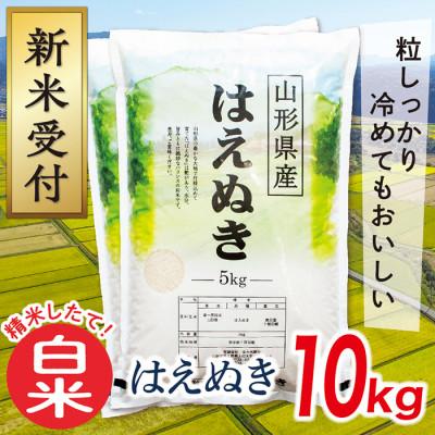 ふるさと納税 最上町 【令和7年産先行受付】山形県産はえぬき10kg(白米)