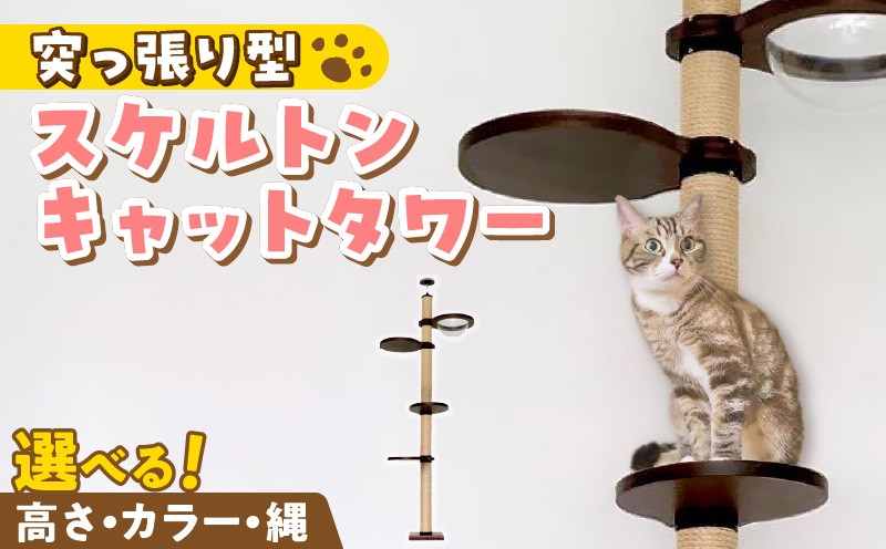 
                  スケルトンキャットタワー LB-HM _ スケルトン 突っ張り型 猫 猫用 透明 クリアボウル 家具調仕上げ インテリア 重厚感 高級感 運動不足解消 ストレス解消 安心 安全 耐久性 組立式 受注生産 日本製 国産 ペット用品 お取り寄せ 福岡県 久留米市 送料無料 _Qx087
                