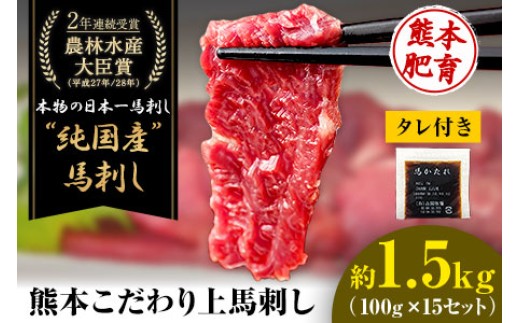 上赤身馬し100g×15セット(10ml×15袋)《3-7日以内に出荷予定(土日祝除く)》 熊本県 菊池市 馬刺し 国産 赤身 刺送料無料 肉 タレ付き 1500g 牛肉よりヘルシー