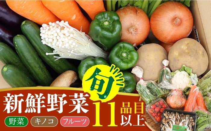 
            新鮮 野菜 キノコ 果物 11品目 詰め合わせ / 野菜 やさい きのこ キノコ 詰め合わせ セット / 吉岡青果 / 南島原市 [SCZ004]
          