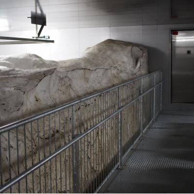 ふるさと納税 上越市 【毎月定期便】雪むろ棚田米コシヒカリ10kg(10kg×1袋)精米-新潟県上越市安塚区産-全12回 |  | 03