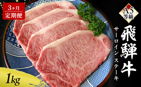 【定期便3ヶ月】牛肉 飛騨牛 サーロイン ステーキ セット 1kg（1枚 約250g×4枚 ） 黒毛和牛 A5 美味しい お肉 牛 肉 和牛 サーロインステーキ 【岐阜県瑞穂市】