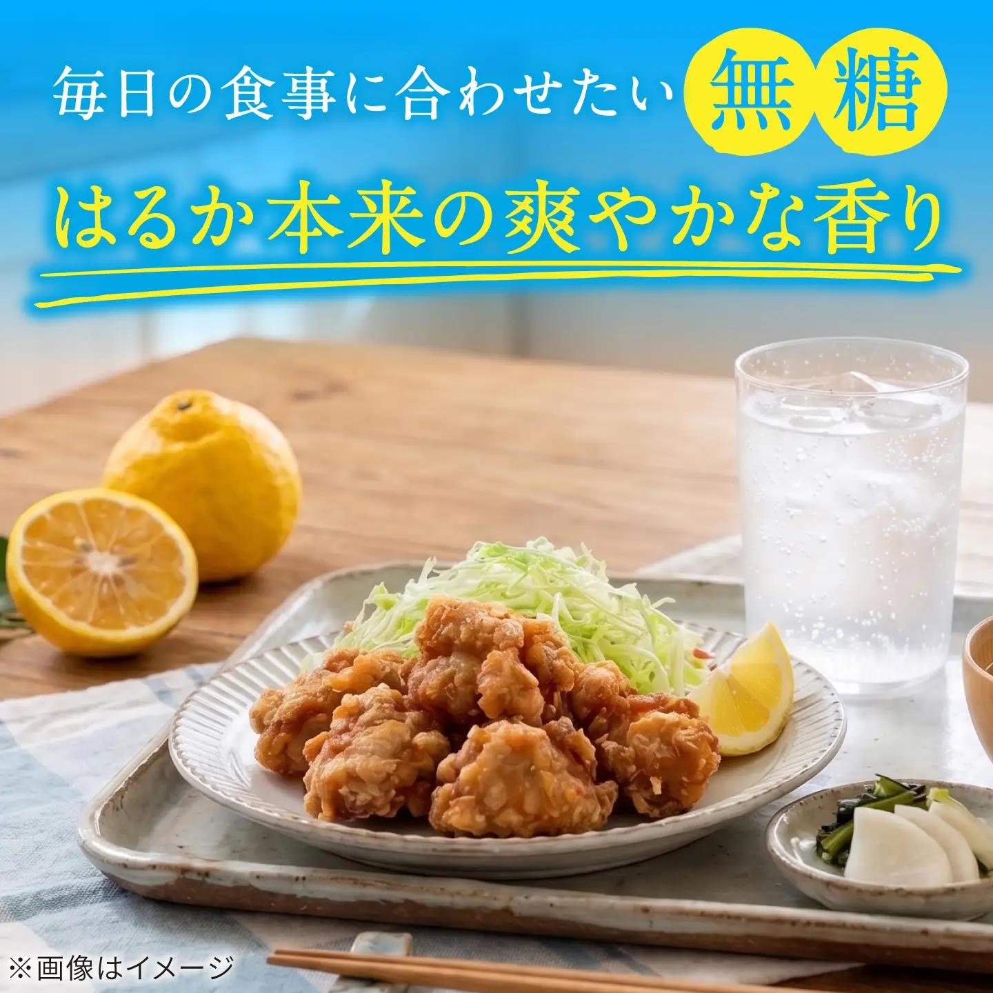 【期間限定】糸島はるかの炭酸水 500ml 24本入  [ARM021] 炭酸水