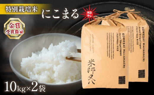 令和6年産 新米 にこまる 20kg ( 10kg × 2袋 ) 天日干し ( 2024年産 ブランド 米 rice 精米 白米 ご飯 内祝い もちもち 国産 送料無料 滋賀県 竜王 ふるさと納税 )