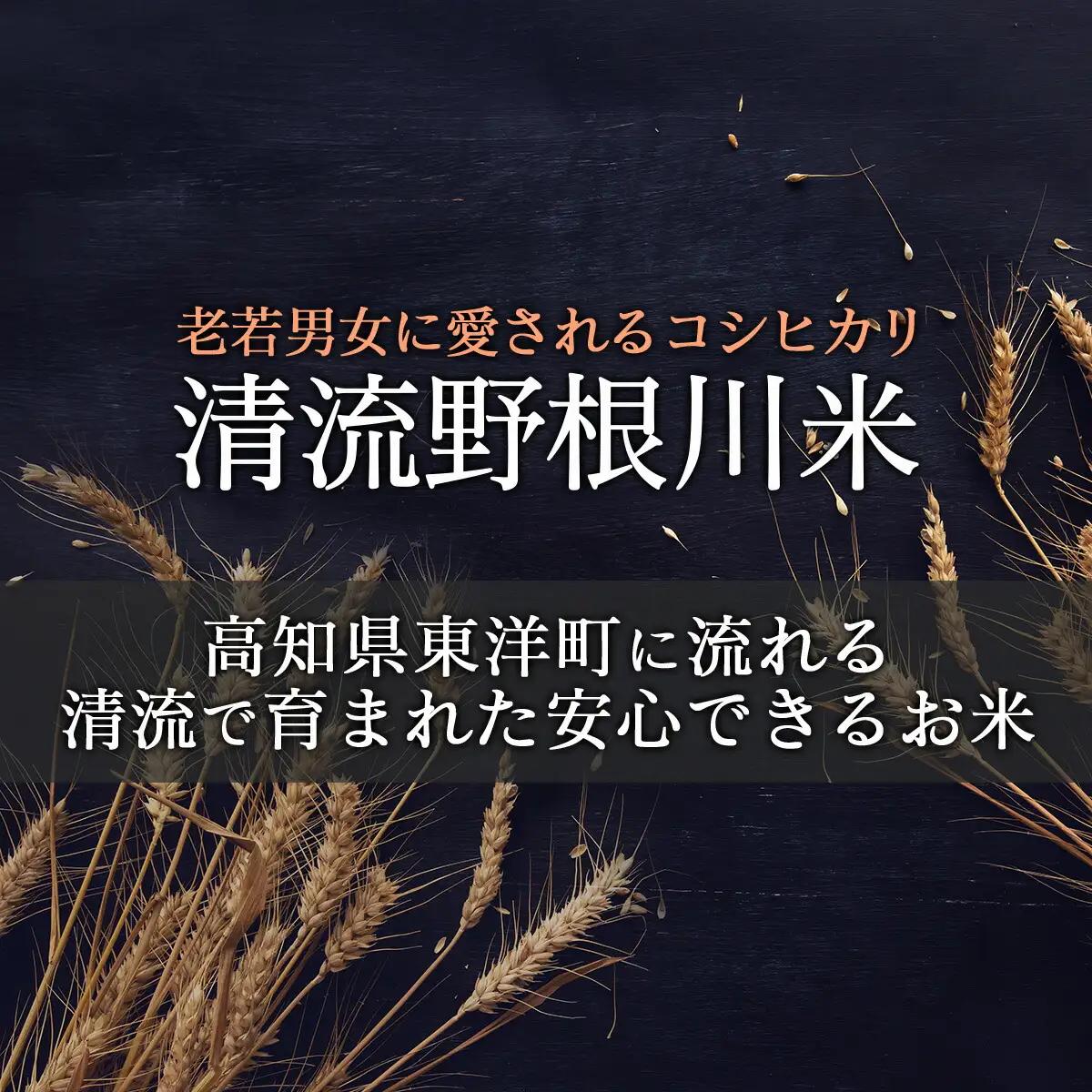＜先行予約＞ 清流野根川米（ コシヒカリ ）10kg！ 令和8年度産  東洋町産 国産 白米 精米 米 コメ こめ もっちり 四国 お取り寄せ 家庭用 自宅用 贈答用 贈り物 ギフト 送料無料 U11