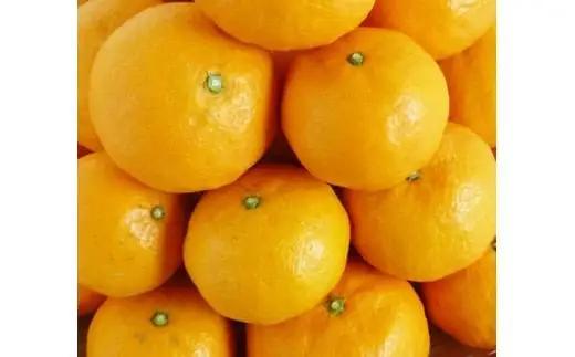初夏のみかん　なつみ5kg【予約】※2027年4月中旬頃～2027年4月下旬頃に順次発送予定(お届け日指定不可) みかん ミカン 蜜柑 フルーツ【uot501-2】