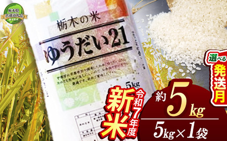【11月発送】ゆうだい21 5kg 【栃木県共通返礼品】 | 米 こめ コメ kome 白米 精米 お米 ゆうだい ユウダイ ﾕｳﾀﾞｲ 新米 栃木米 大粒 粘り 甘み お弁当 おにぎり 令和7年度米 令和7年度 2025年度米 2025年度 ブランド米 栃木県 特産品 送料無料 栃木県 下野市 しもつけ市