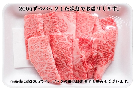 長州ながと和牛「三角バラ焼き肉用・ロース焼肉用」600g(200g×3パック)＋400g(200g×2パック) 合計1ｋｇ【牛肉 肉 お肉 焼き肉 焼肉 焼肉用 小分け 希少 ギフト 贈り物 和牛 牛