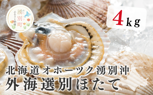 ≪先行予約≫北海道オホーツク湧別沖　船上選別貝付ほたて4kg（24枚前後）ホタテナイフ付