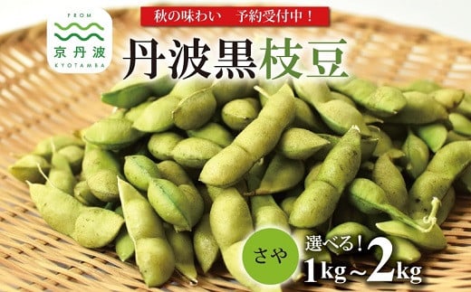 
            《 先行予約 》丹波黒枝豆 さや 選べる 1kg 1.5kg 2kg （京都 京丹波町産 丹波黒大豆）≪秋だけの期間限定 数量限定≫【季節限定 おつまみ 枝豆 えだまめ 地域限定 黒豆 ご当地グルメ 特産品】※北海道・沖縄・その他離島は配送不可 [008KK001LX]
          