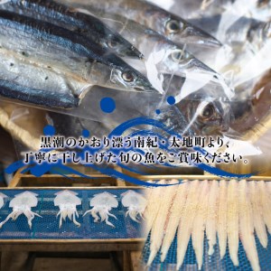 クジラ・スルメ入り！厳選干物 7種セット 創業80年！地元で愛される人気の干物 Cセット（アジ開き×2枚、サンマ開き×2枚、カマス開き×2枚、タチウオみりん干し100g、イラギみりん干し100g、鯨の