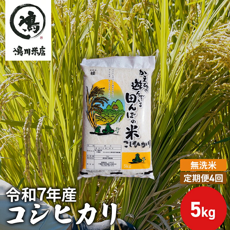 【ふるさと納税】【定期4ヶ月】コシヒカリ 乾式無洗米 5kg 令和7年産 お米 銘柄米 ご飯 おにぎり お弁当 和食 食卓 精米 国産 千葉県産 産地直送