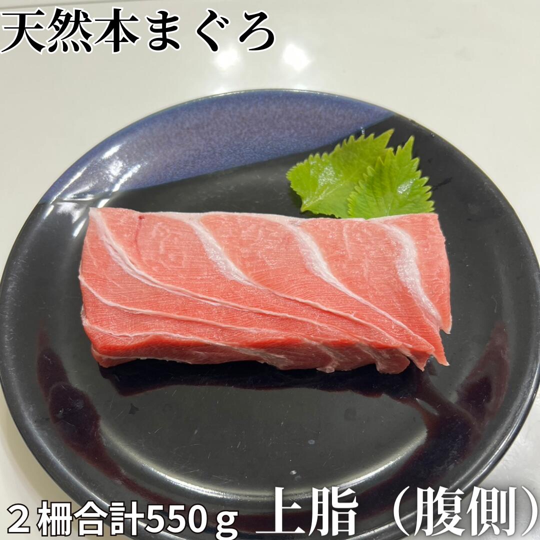 【ふるさと納税】 天然本鮪 上脂トロサク アイルランド産（2柵）