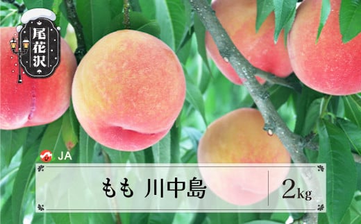 先行予約 もも 川中島 2kg 2025年産 令和7年産 桃 白桃 モモ 果物 フルーツ 山形県産 送料無料 ※沖縄・離島への配送不可 ja-moknx2