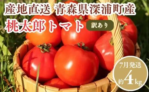 【ふるなびWEEK対象】【7月発送】訳あり 青森県産 桃太郎 トマト 約4kg 大玉 tomato 新鮮 野菜 旬 甘い 完熟 ジュース 産地直送 農家直送 [fu-0022-003-07]