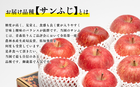 【レビューキャンペーン】1月発送 サンふじ 約5kg 青森県平川市産[hi-0003-016]
