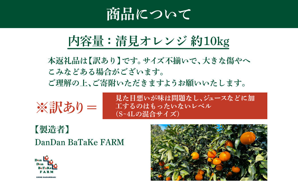 【先行予約】【家庭用】清見オレンジ 約5kg | 柑橘 みかん 果物 フルーツ 愛媛県産 農家直送　※離島への配送不可　※2026年2月下旬より順次発送予定 IKTAU010