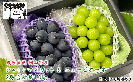 ぶどう 2026年 先行予約 農家こだわりの シャイン マスカット ＆ ニュー ピオーネ 2房 合計約1.0kg  岡山県産 シャインマスカット ピオーネ