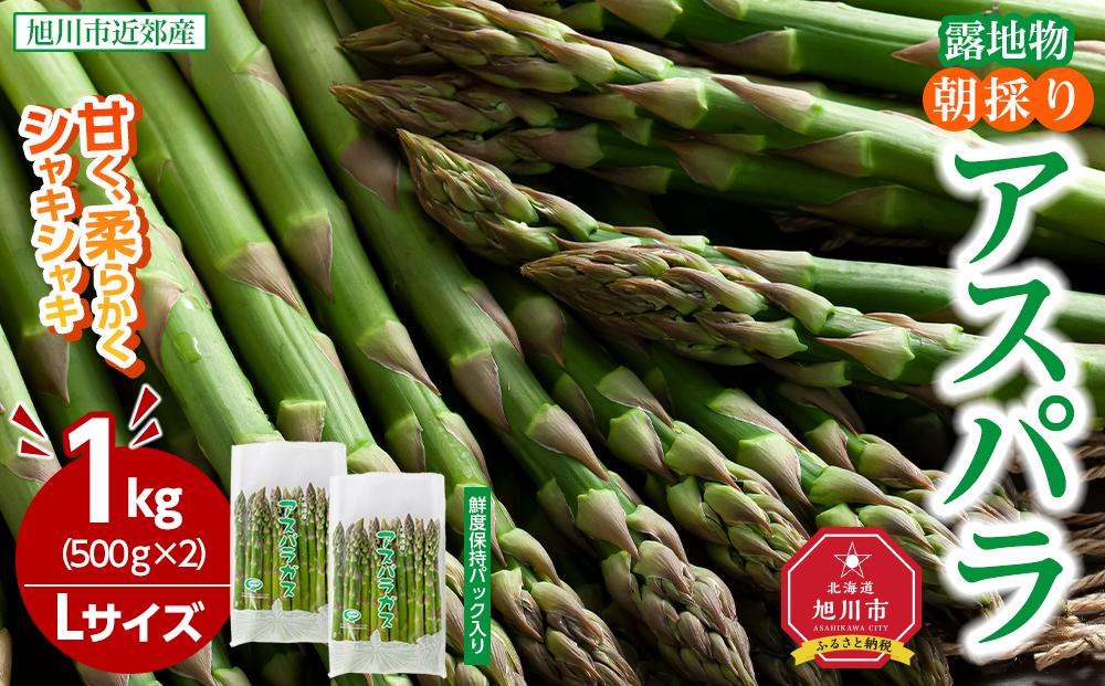 【2026年先行予約】朝採りアスパラ Lサイズ 1kg（500g×2）鮮度保持パック入り 旭川近郊産 露地物(5月中旬発送開始予定) 【 アスパラ アスパラガス 朝採り とれたて 野菜 旬 小分け 保存 産直 産地直送 お取り寄せ 旭川市 北海道 】_01590