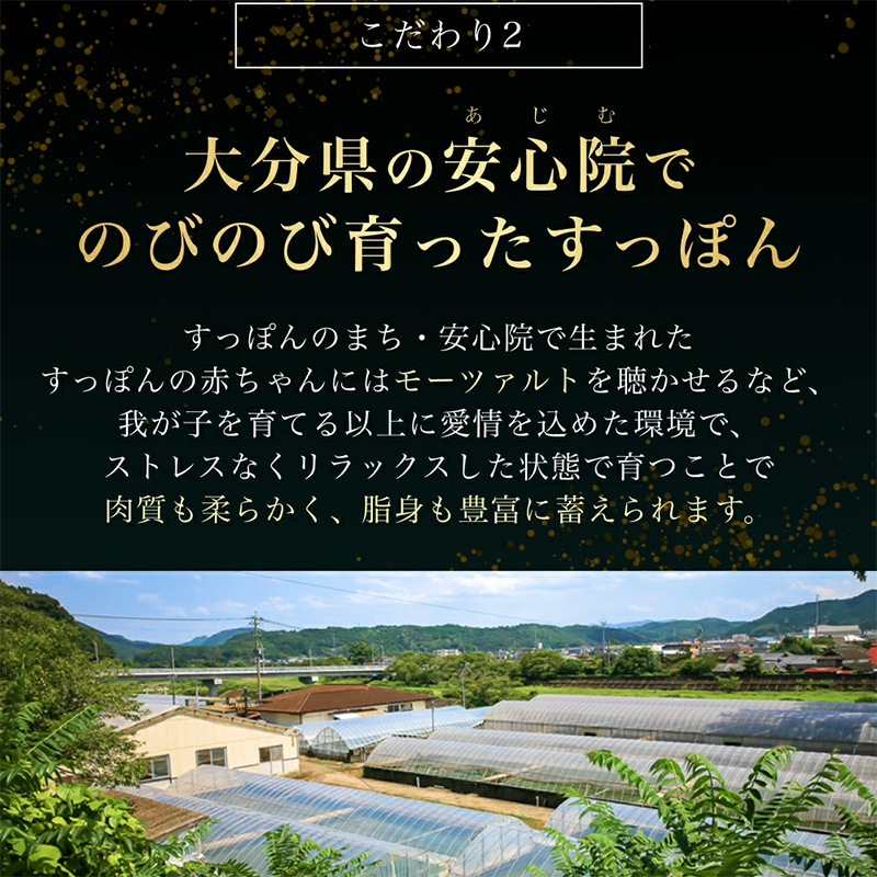 すっぽん鍋フカヒレ付きノーマル　スッポン鍋 すっぽん鍋セット 料理 肉 エキス 国産 グルメ 老舗 全国 取り寄せ 取り寄せグルメ コラーゲン 液体 美容 精力 効果 ギフト プレゼント おすすめ 食